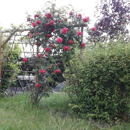 Апартаменти Gartenblick Граль-Мюріц Екстер'єр фото
